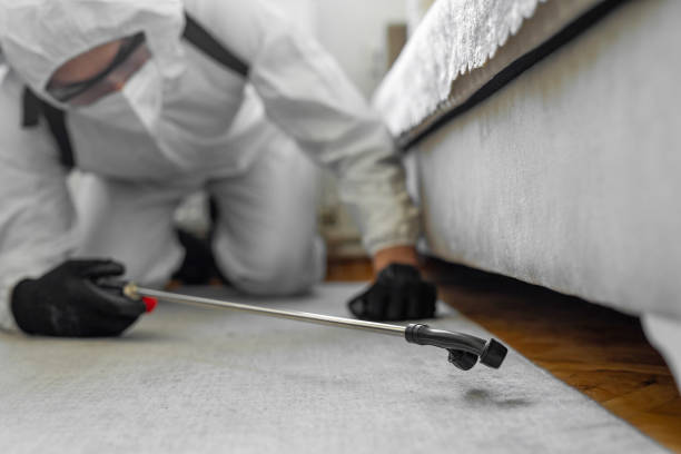 Professional Pest Control technician working in Morrice, MI