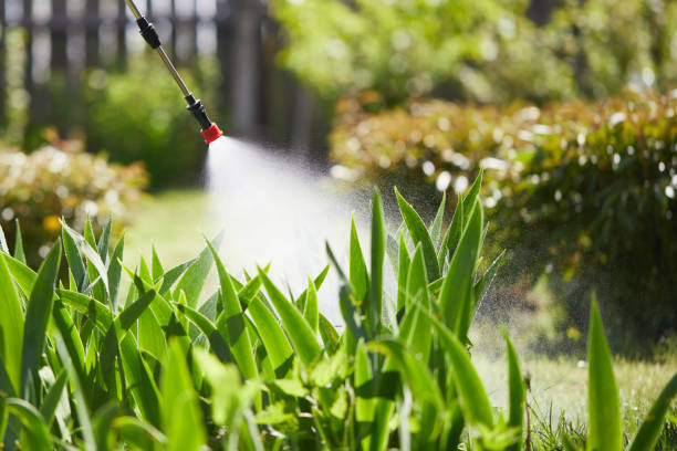 24/7 Emergency Fumigation Services experts in Morrice, MI