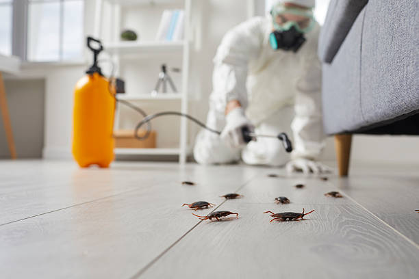 Trusted Fumigation Services service in Morrice, MI - Nex Pest Control
